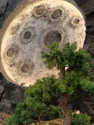 القصر الملكي