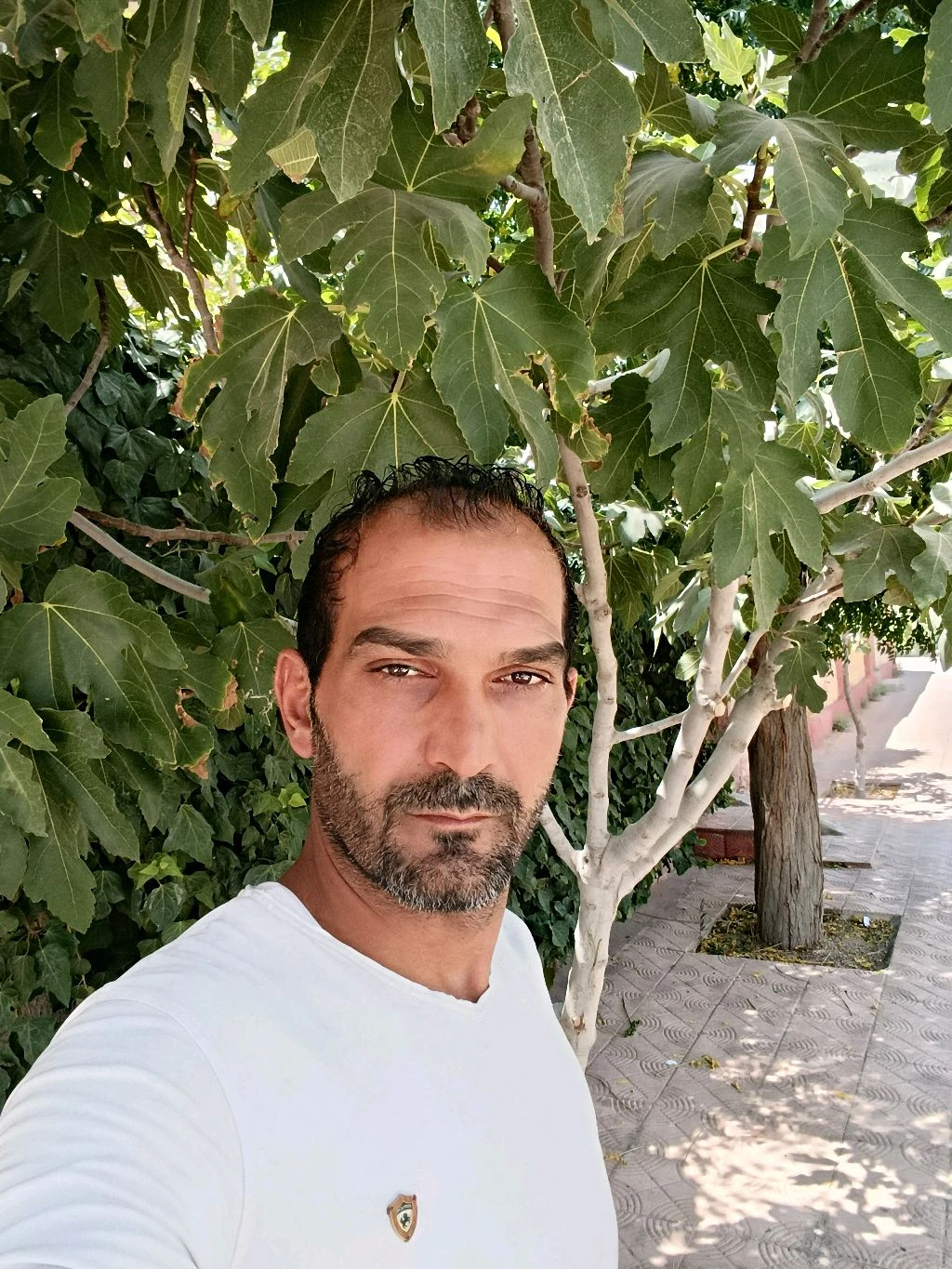 جمال الجاسم