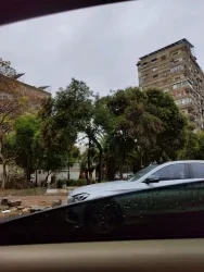 رفوان سرور