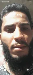 مصطفى غوطاني