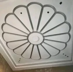 فراس دسوقي