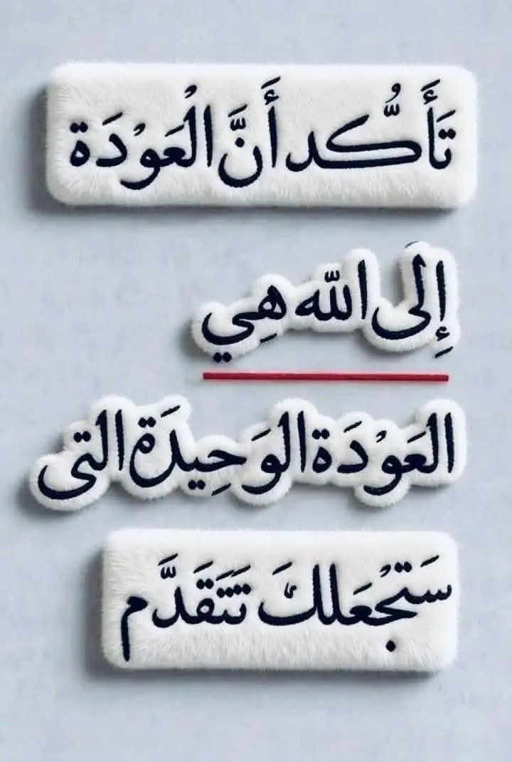 أبوباسل الداية