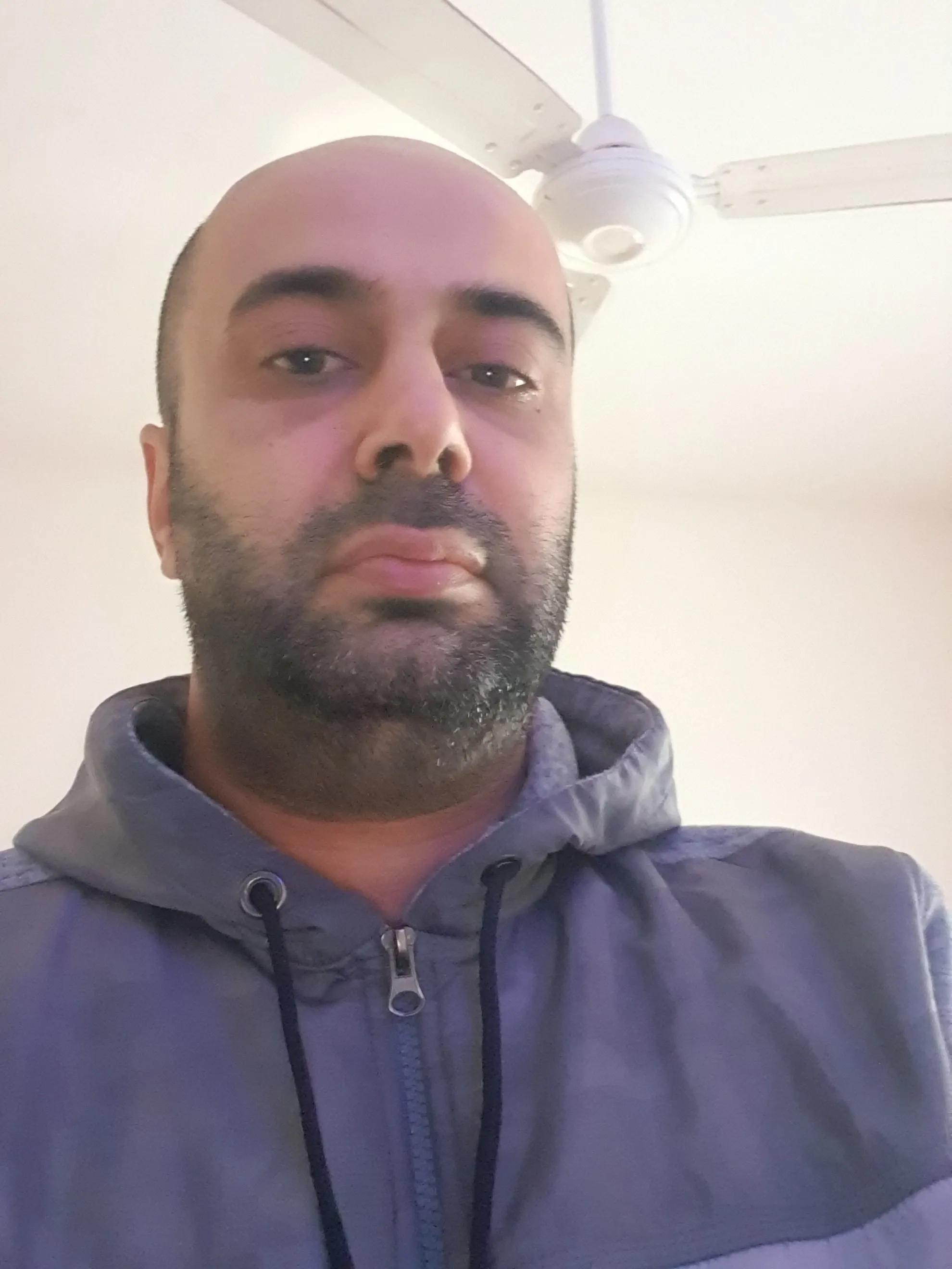 ربيع