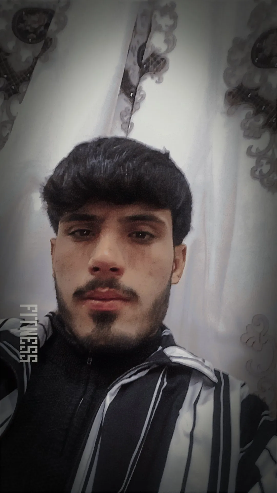 بكري شرفو