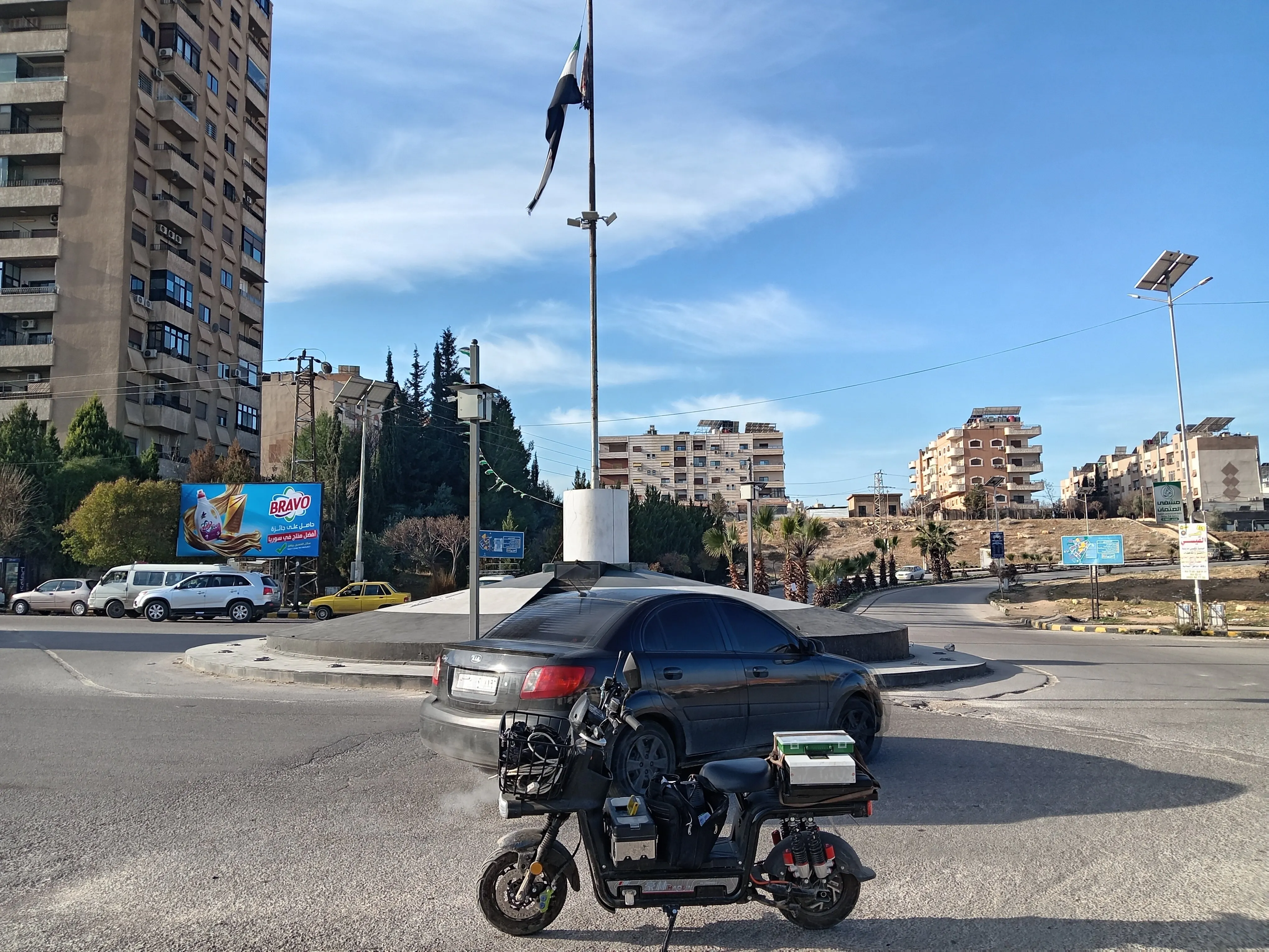 نورس