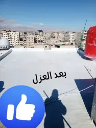 محمد علوان