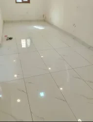 ابو قصي