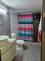 علاء طاهرالزين