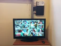 مزيد الهنداوي