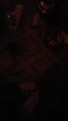 رائد
