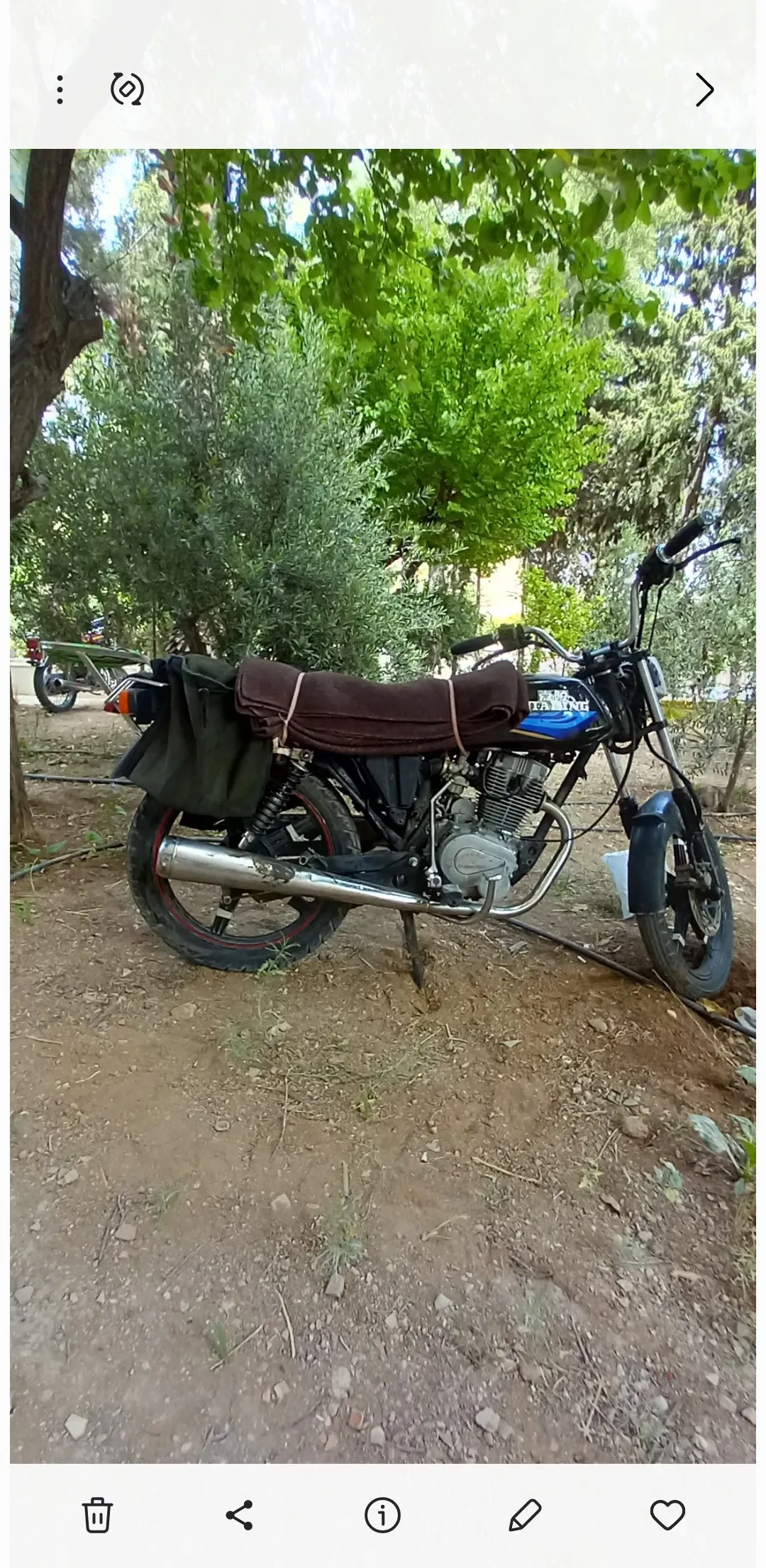 علاء عثمان