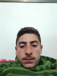 محب