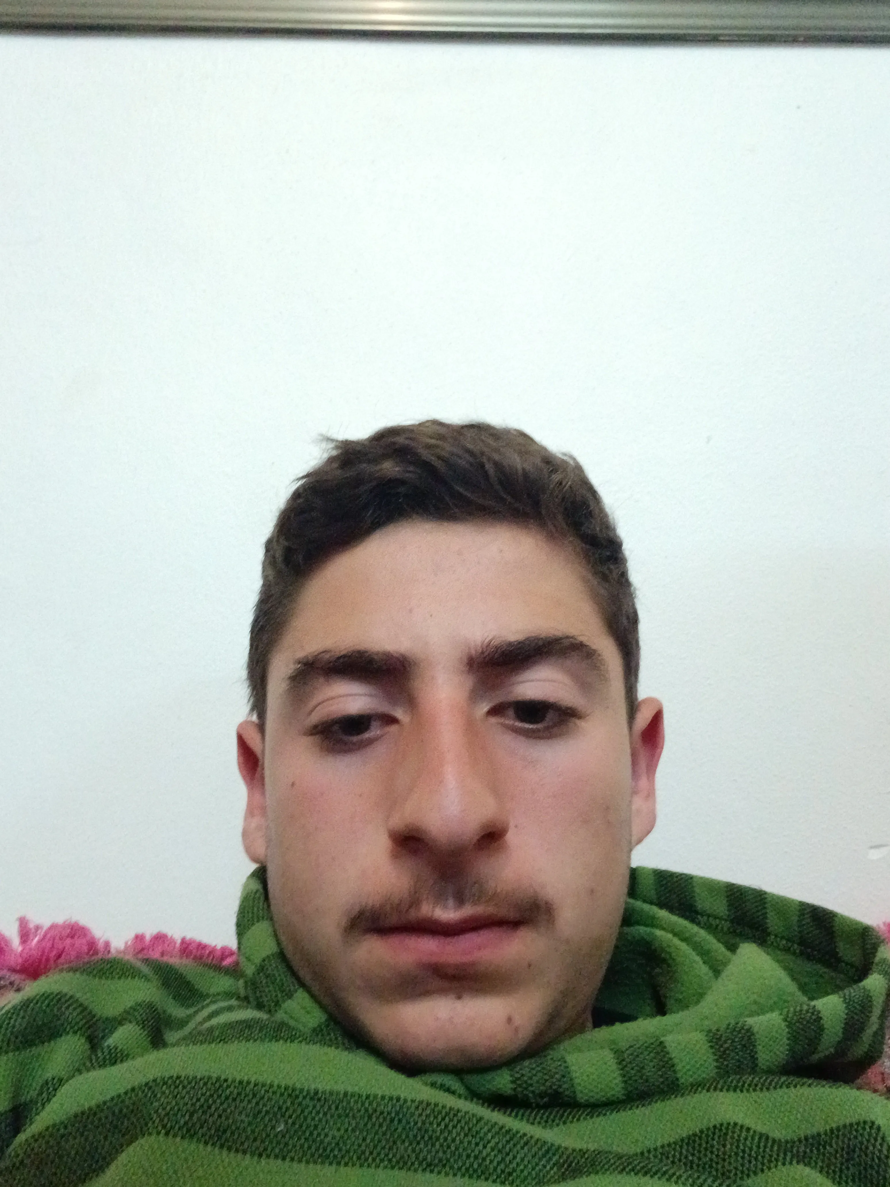 محب