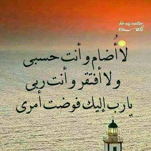ابوحميد