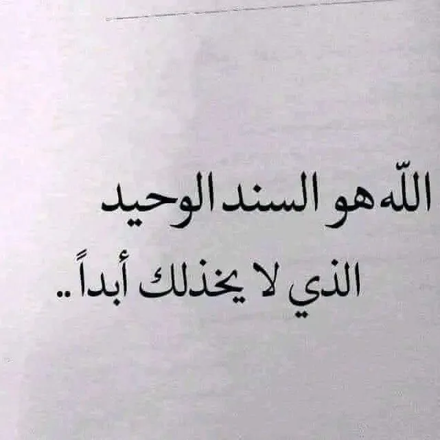 محمد سامر