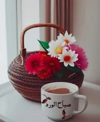محمد معتز