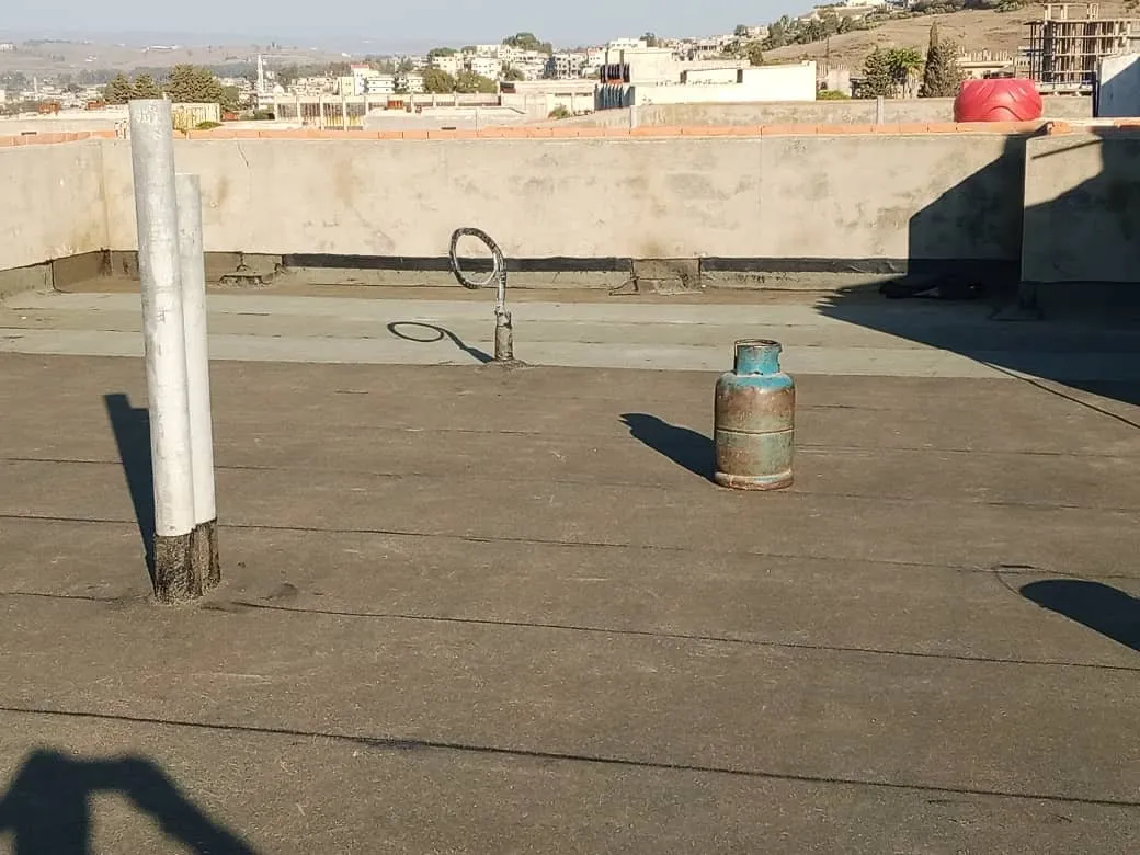 الصقر