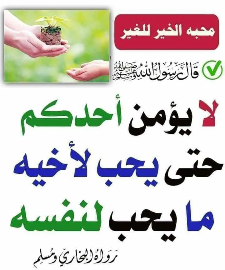 معتصم