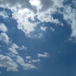فارس سليك