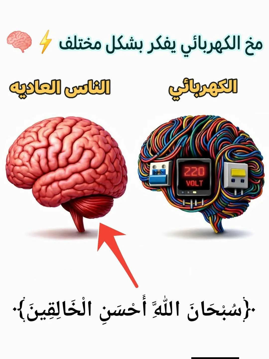 آدم دباغ
