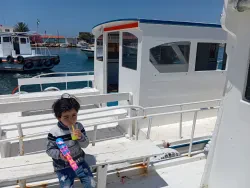 محمود