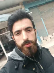 بشار