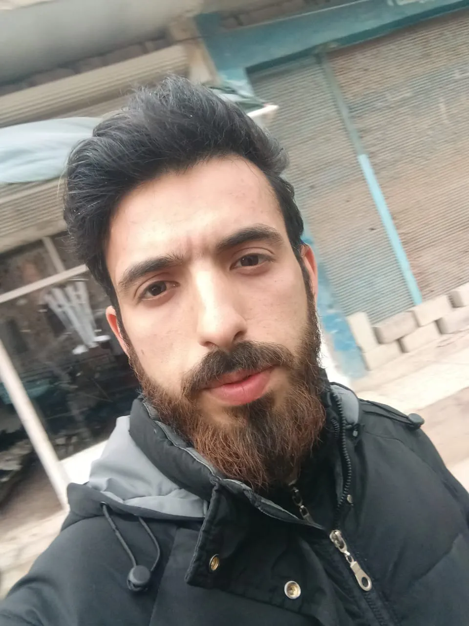 بشار