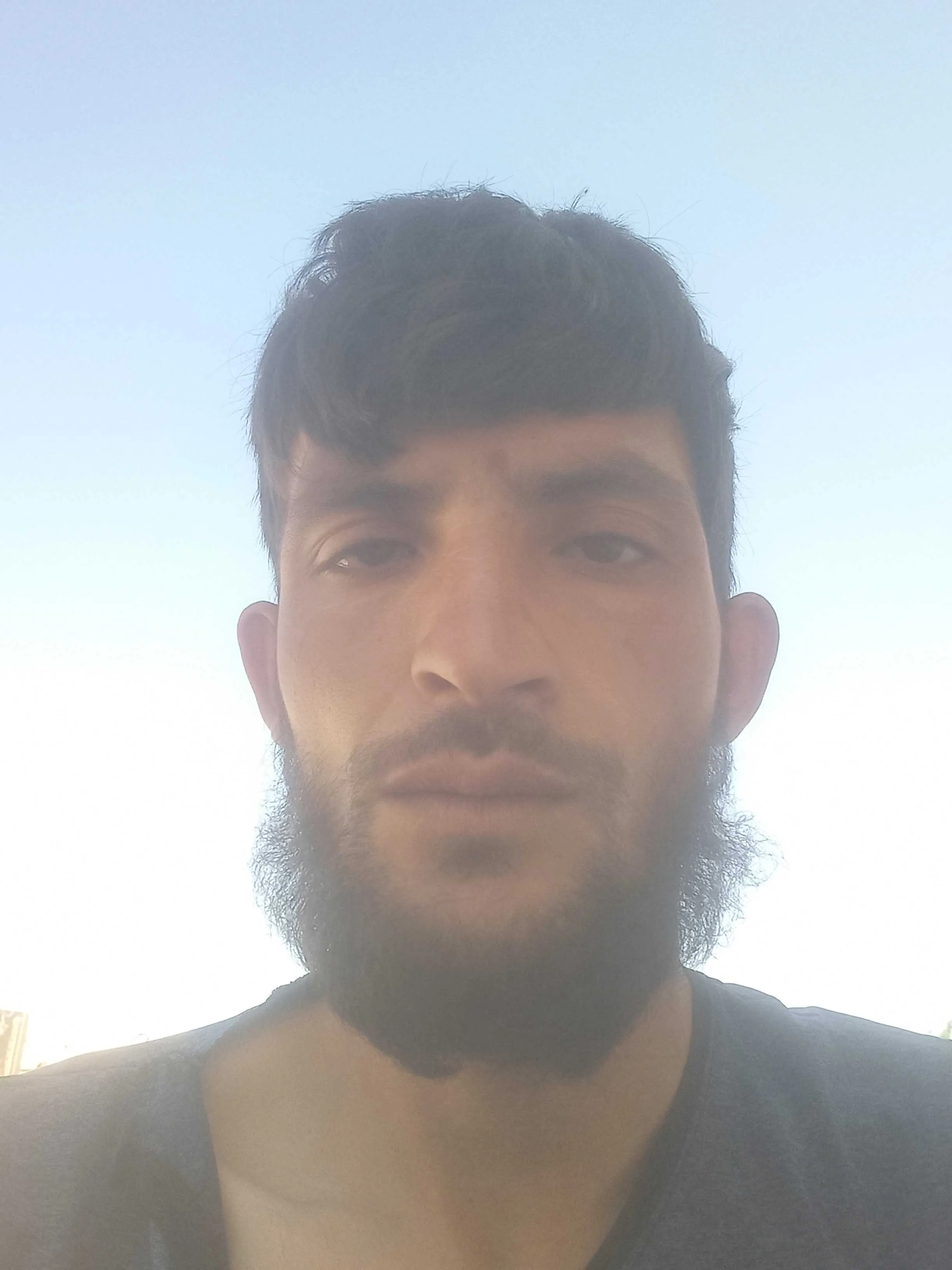 محمد محمود المحمود