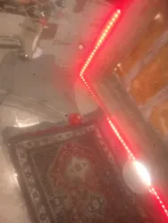 علي نجرس
