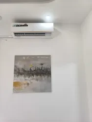 علاء