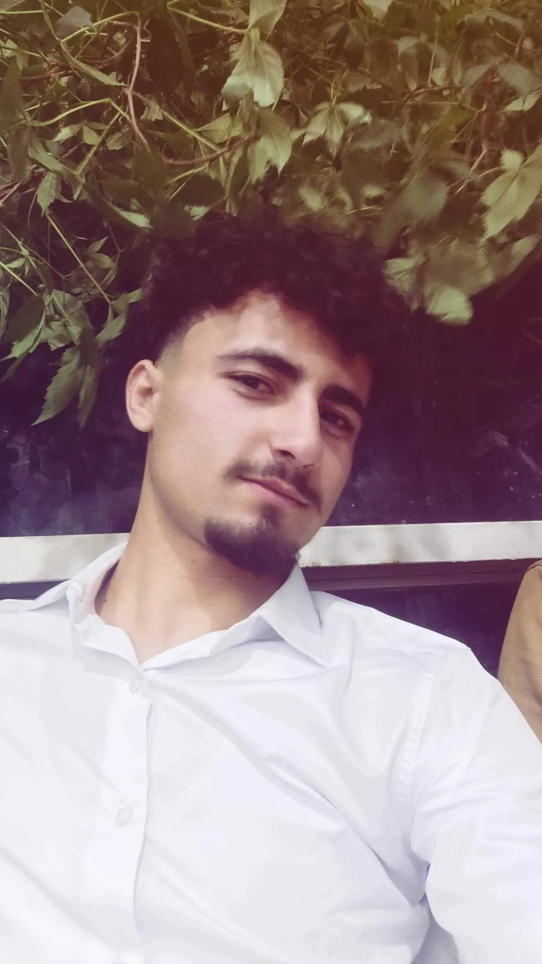 نايف