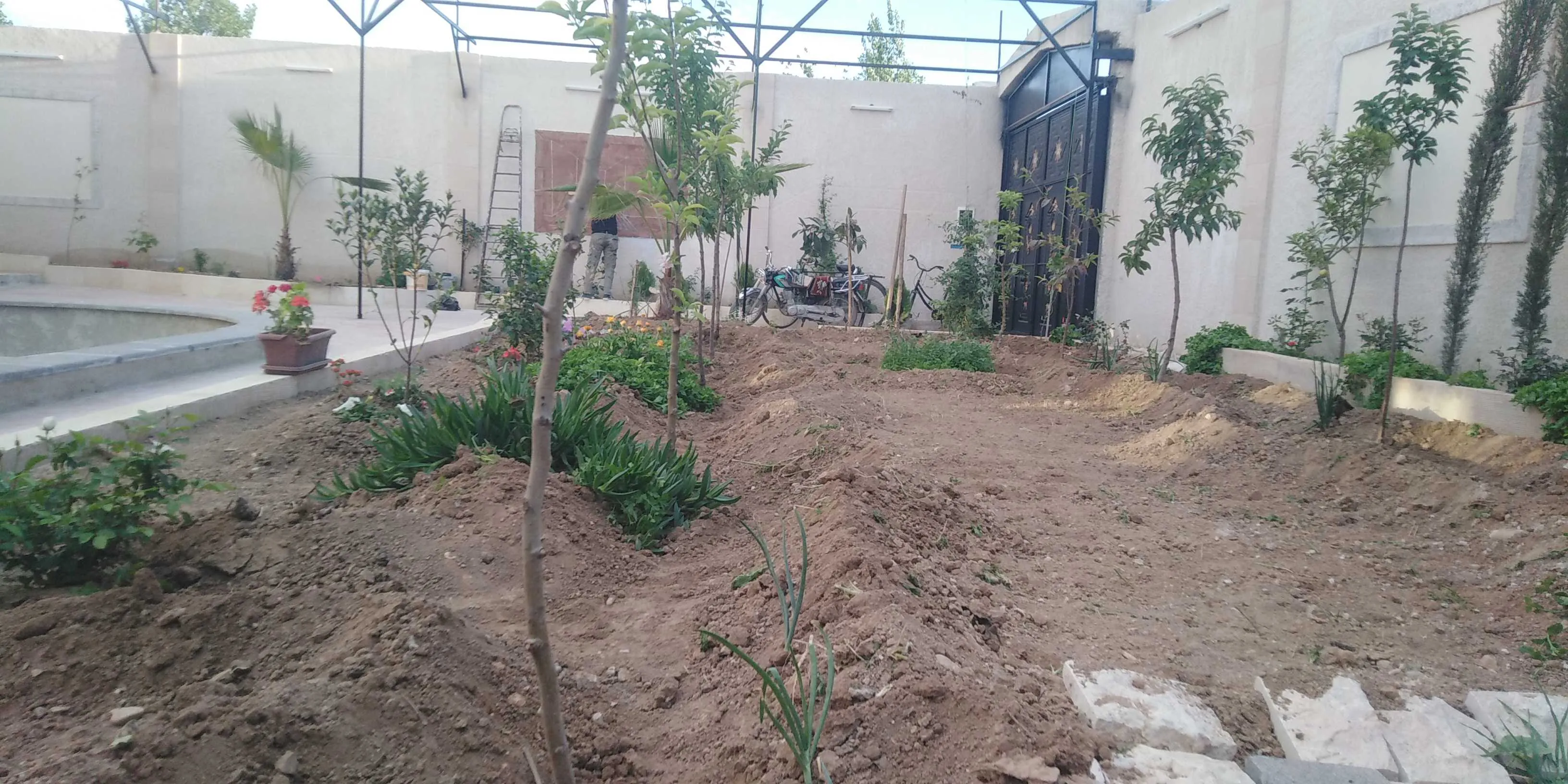 فراس