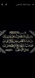 ربيع كردوش