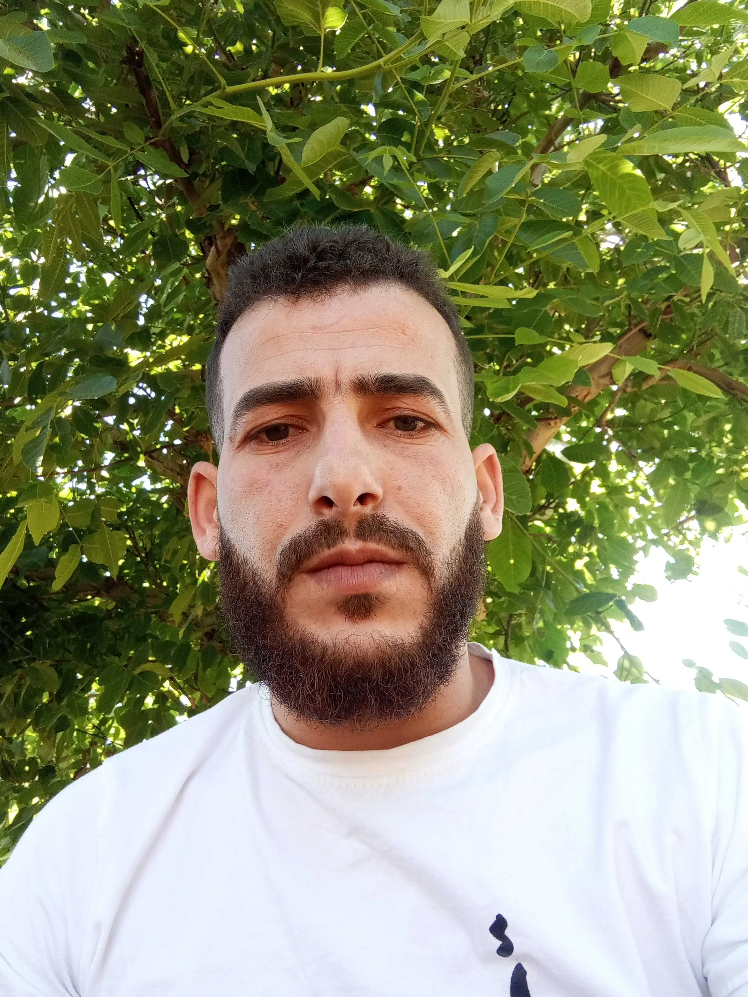 محمد الحاج