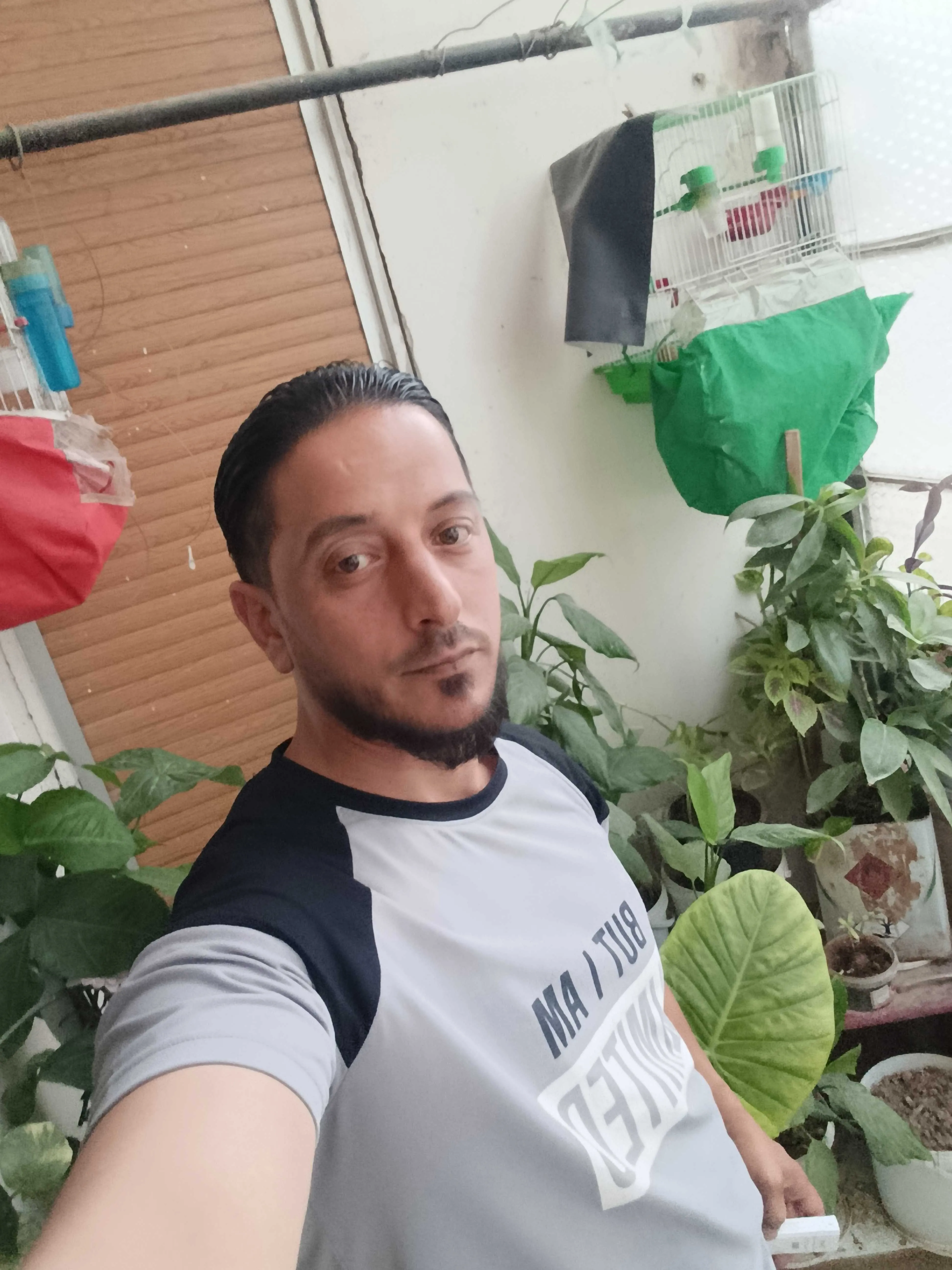 فراس علاوي