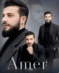 الهشام