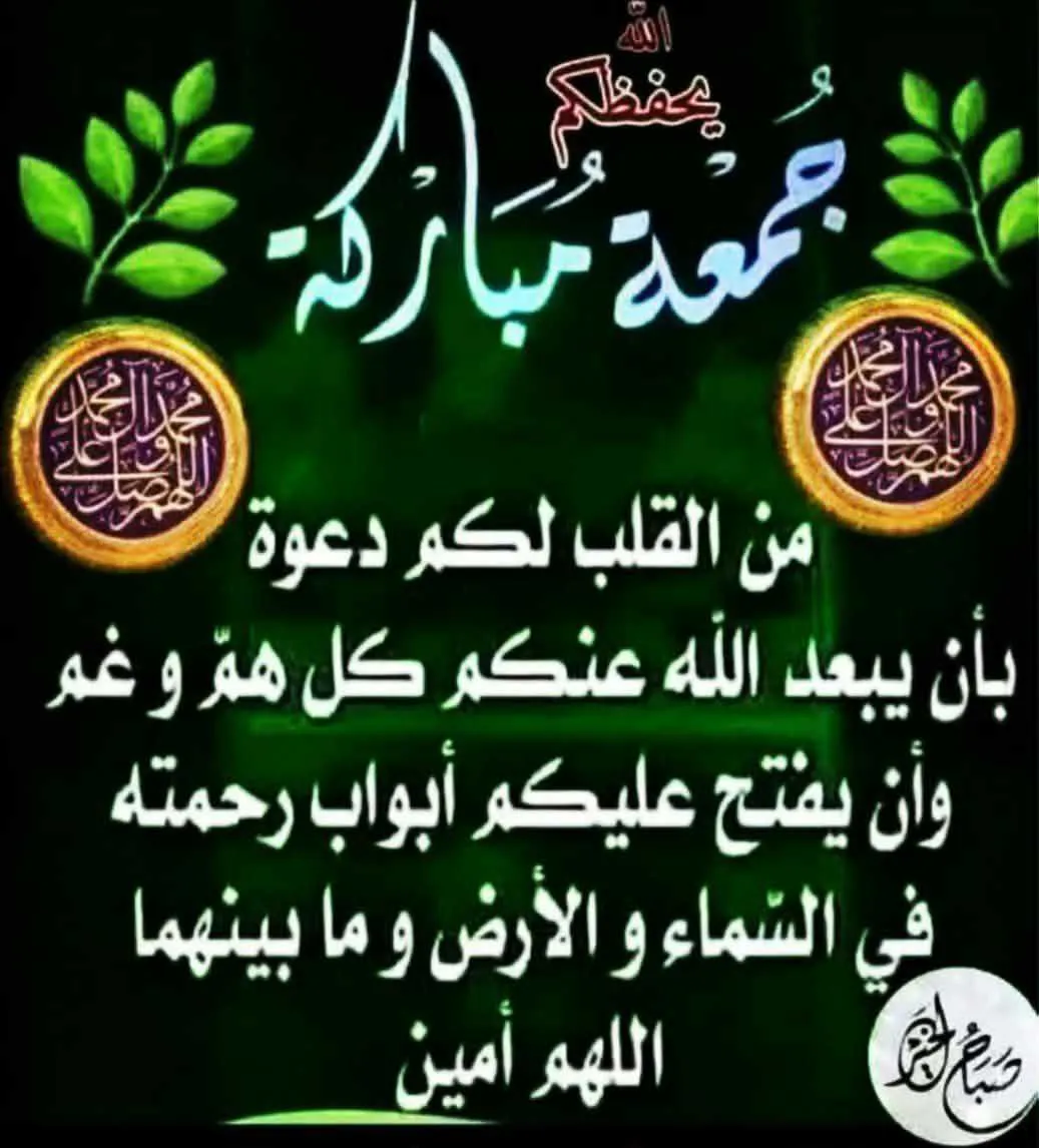 طارق حجازي