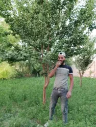 دهان