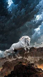 احمد الكهربجي