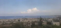 علي سلامه