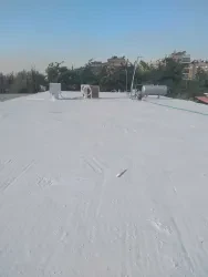 علي الميهوب