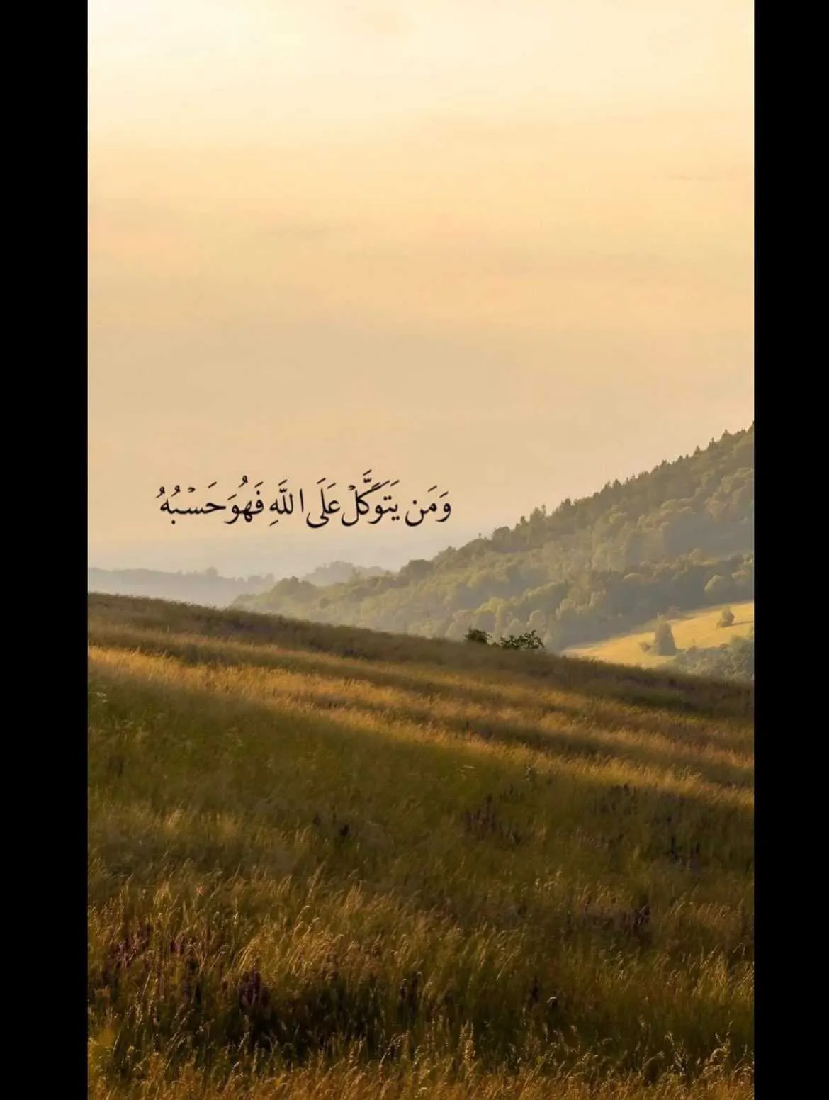 بشار خيرالله