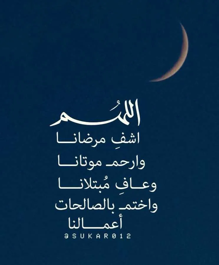 نايف ابو محمد