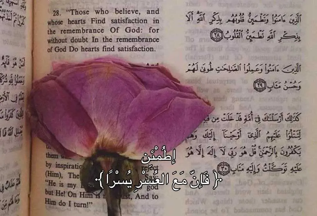 شفاء الحسن