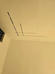 عارف