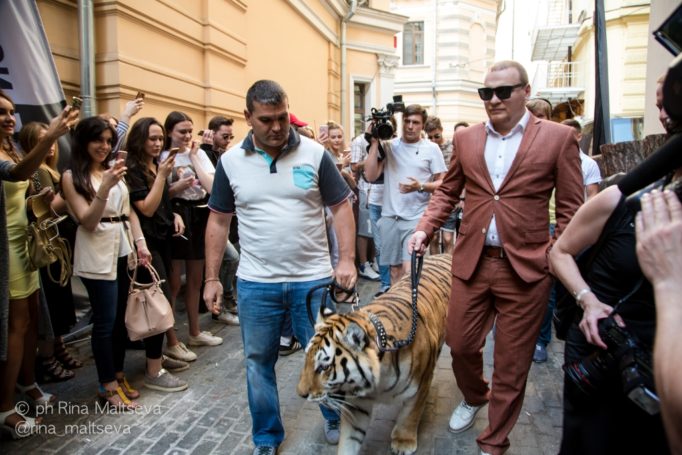 В клуб Squat ¾ Сергей Сафронов привел огромного тигра