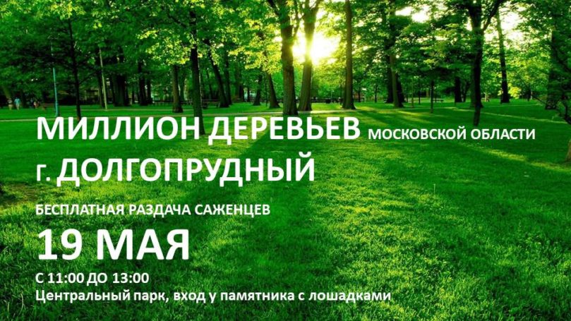 «Миллион деревьев Московской области» будут раздавать в Долгопрудном