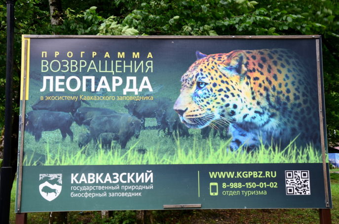 Виктор Тепляков ожидает результат от проекта «Тропою леопарда»