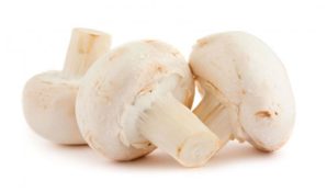 Производство грибов «Шампиньоново» запустит в 2019 году «Мастер Гриб»
