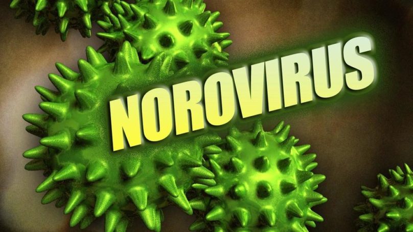 Эксперты: как уберечься от заражения норовирусом